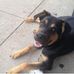 Sonya Combs - Facebook