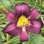 Sonya Cunningham - @love2readanytime - Instagram