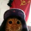 сонэ - @sonyaday__ - TikTok