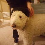 SonyaD - @sonya_delaney9 - Instagram