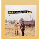 सोन्या _ड्रायव्हर_ निंबुतकर  👑💯💥😈 - @sonya_driver_nimbatkar - Instagram