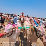 सोन्या_ ड्रायव्हर _निंबुतकर_👑💯 - @sonya_driver_nimbutkar - Instagram