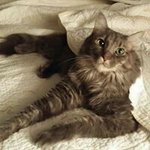Sonya Renee Echols-Toussel - @rtoussel - Instagram
