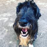Sonya - @_sonya_english_school_ - Instagram