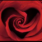 Sonya English - Facebook