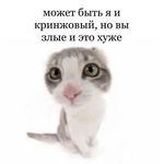 Не пишите мне, я скорпион - @_sonya_erickson_ - Instagram