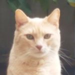 Sonya Erickson - @butters.mylo.cysco.bros - Instagram