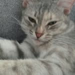 арчи соня - @archik_sonya_friendes_ - Instagram