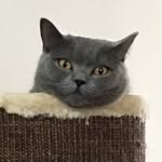 Sonya & Friends - @sonya_and_fluffyfriends - Instagram