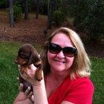 Sonya Gardner - @hounddogfred1 - Instagram