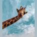 Sonya Gardner - Facebook