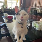 Sonya Jarmuth Goldstein - @sonyagoldstein - Instagram