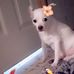 Sonya Good - Facebook