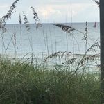 Sonya Goss - @sgros1234 - Instagram