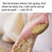 Sonya Grace - Facebook