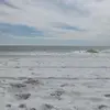 Sonya Gray - @sonya.gray96 - TikTok