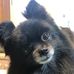 Sonya Grigg - Facebook