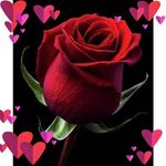 Sonia Guy - @soniaguy63 - Instagram