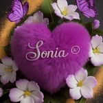 Sonya Hahn - @sonyahahn657 - Instagram