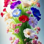 Sonia Hammi - Facebook
