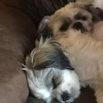 Sonya Coffey Hammond - @sonyacoffey - Instagram