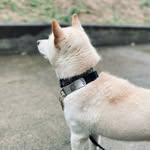 Sonya Renee Hammond - @i.am.sonson - Instagram