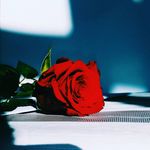 Sonya - @sonya_handmade - Instagram