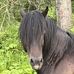 Sonja Haney - Facebook