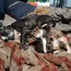 Sonya Holtz - @sonya.holtz - TikTok