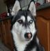 Sonia Holtz - Facebook