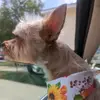 sonya hudson - @sonya.hudson - TikTok