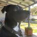 Sonya Kelly - Facebook