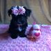 Sonya Kelly - Facebook