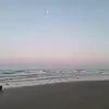 sonyakelly8 - @sonyakelly8 - TikTok