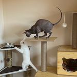 Sonya & Luna - @sonya_luna_babies - Instagram