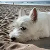 🍤Sonya & Luna🍤 - @sonya.luna73 - TikTok
