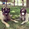 sonyaluna - @lunasonyakardesler - TikTok