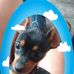 Sonja Marx - Facebook