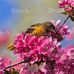 Sonya Mcgraw - Facebook
