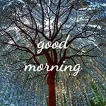 Sonia Mcgregor - @sonia.mcgregor.9212 - Instagram