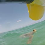Sonia McGregor - @1111aloha1111 - Instagram
