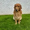 Sonya Mobley - @sonya.mobley - TikTok