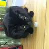 sonya moon - @meankitty16 - TikTok