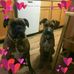 Sonya Morton - Facebook