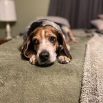 Sonya Morton - @sonya.morton.7509 - Instagram