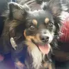 sonyamoyes - @sonyamoyes - TikTok