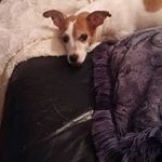 Sonya Obrien - @sonyasue53 - Instagram
