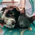 Sonya & Oliver - @sonya_0802_oliver - Instagram