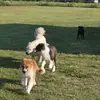 SonyaOliver404 - @sonyaoliver404 - TikTok