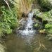 Sonya Pearce - Facebook